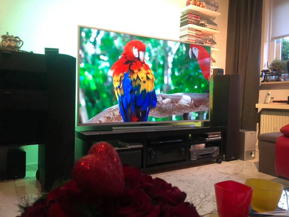 tvtje2